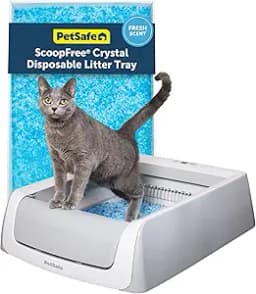 Pet Safe Scoop Free Crystal Pro Legacy Automatic Self-Cleaning Cat Litter Box Includes 1 Disposable Crystal Litter Tray Advanced Odor Control Not Enclosed Gray (PAL00-16805)
